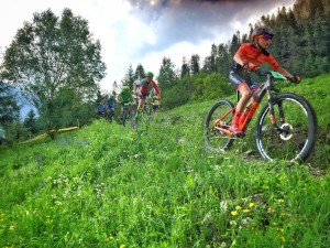 IMG-20190721-WA0073